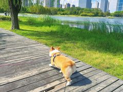 -尚贤河湿地