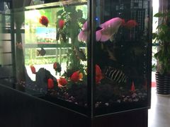 -嘉和K6温泉微度假