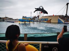 -秦皇岛乐岛海洋王国