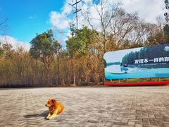 -上海海湾国家森林公园