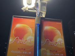 -鹏欣水游城