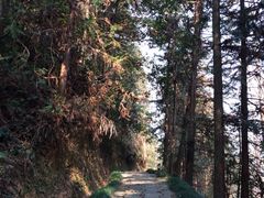 iphone_upload_pic-千岛湖龙川湾