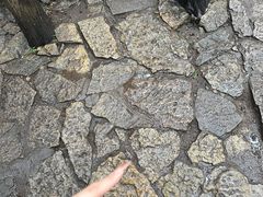 -云龙山