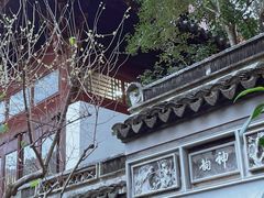 -秋霞圃