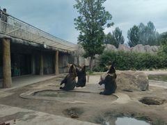 -齐齐哈尔龙沙动植物园