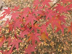 -天鹅湖体育公园