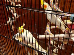 -火舞泰·泰式海鲜火锅餐厅(世纪城店)