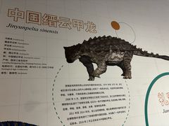 -衢州市博物馆