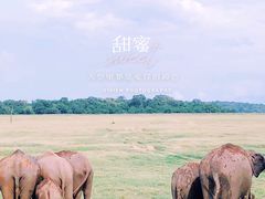 -米内日亚国家公园