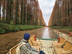 -黄海国家森林公园