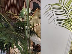 -掂档潮汕牛肉火锅(沈阳万象城店)