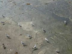 -黑石礁公园