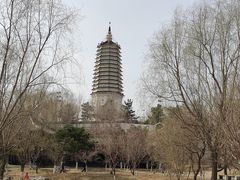 -舍利塔滩地公园-无垢净光舍利塔