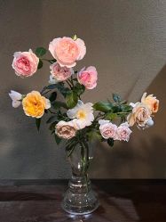 -美肤盾祛痘·问题肌头疗管理中心