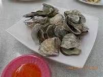 -旅南活海鲜-屏东(墾丁海鮮，海鮮餐廳，墾丁團體合菜，平價熱炒，墾丁熱炒店，活海鮮推薦，在地海鮮餐廳)