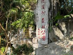 -广州市流溪河国家森林公园