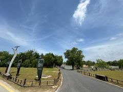 -盐城丹顶鹤湿地生态旅游区