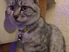 iphone_upload_pic-Sirena海妖日咖夜酒