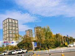 -麦德龙(郑东店)