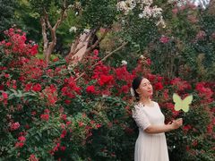 -杭州城北体育公园