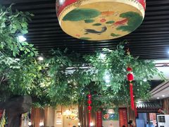 大堂-邵年鸽(杨庄店)