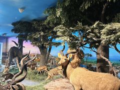 -国家自然博物馆