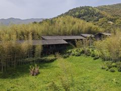 -大唐贡茶院