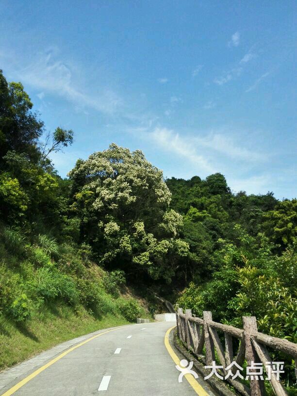 銀湖山郊野公園圖片 - 第72張