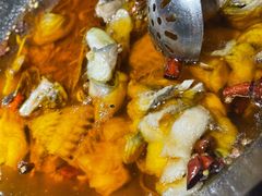 -雲蜀龙阁·金牌水煮鱼(方庄店)