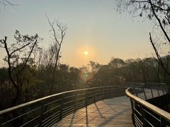 -西湖风景区-江洋畈生态公园