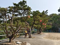 -大石鼓山庄·珠海第一烧猪