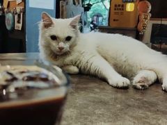 -店溡三(御华名苑愚园路1221弄店)