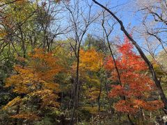-玉渡山自然风景区