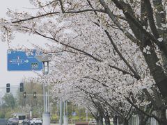 -苏州太湖国家湿地公园