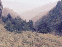 -牛背梁国家森林公园