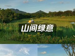 -西涌国际滨海旅游区