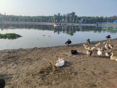 -长春市南湖公园