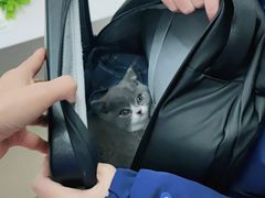 -瑞派宠物医院·中兽医专科(中央商城分院)