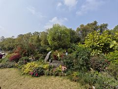 -东莞植物园
