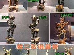 -洛阳博物馆