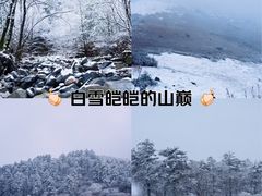 -秦岭风景区