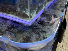 -大润发(勤业店)