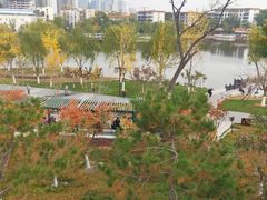 -西海子公园