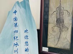 -中国第四纪冰川遗迹陈列馆