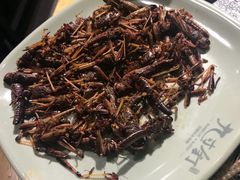 -九寸钉自助·炭火烤肉烧烤(欧乐时尚广场店)