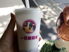 -大龙火锅(老店)
