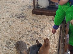 -HERRE·FARM 赫尔露营农场·团建聚会包场