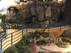 -陕西自然博物馆