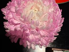 -丽晶轩中餐厅(重庆丽晶酒店)