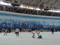 -世界之窗阿尔卑斯冰雪世界
